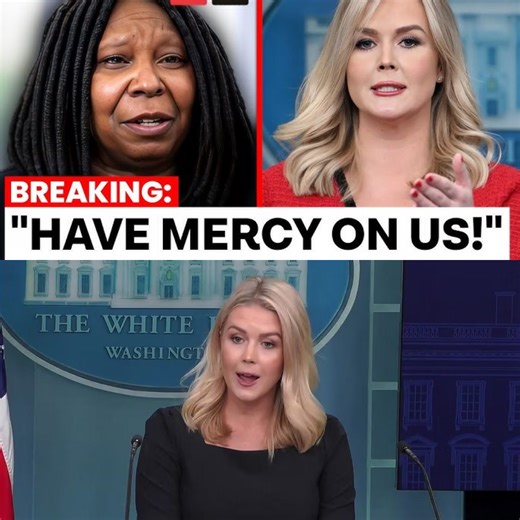 The View Begs Karoline Leavitt to Drop Massive $800 Million Lawsuit—Drama Unfolds On Air! See more: https://rb.colofandom.com/0565 In a twist that’s left Hollywood reeling and network lawyers scrambling, rising political star and newly minted White House Press Secretary Caroline Leavitt has launched an $800 million lawsuit against ABC’s flagship talk show, The View. The fallout is nothing short of seismic—threatening not just the careers of Whoopi Goldberg, Joy Behar, and Sunny Hostin, but the v