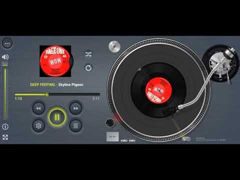 DEEP FEELING Skyline Pigeon