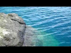 Olympic National Park in HD