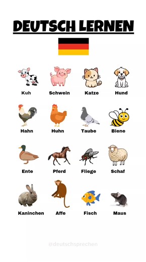 Deutsch lernen Quiz - Tiergeräusche und Tiere benennen