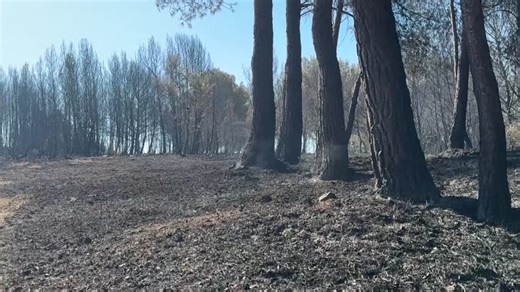 Całonocna walka z pożarem. "Sto domów w osi ognia"