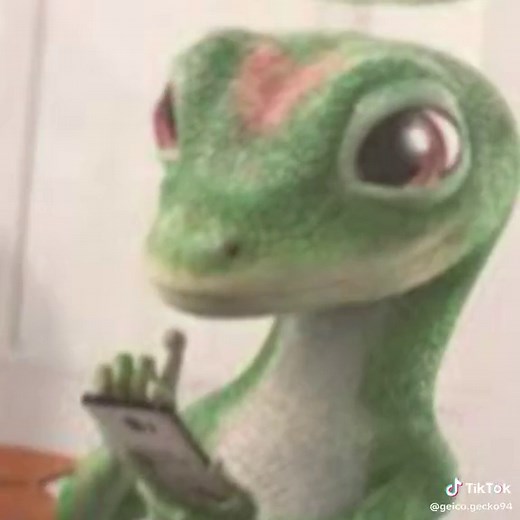 #stupidgiecko #geckoedit #geicko #thisismeifyouevencare