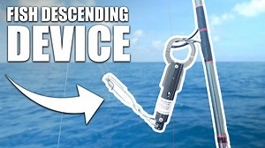 28K views · 1.3K reactions | HOW TO USE A FISH DESCENDING DEVICE!...
