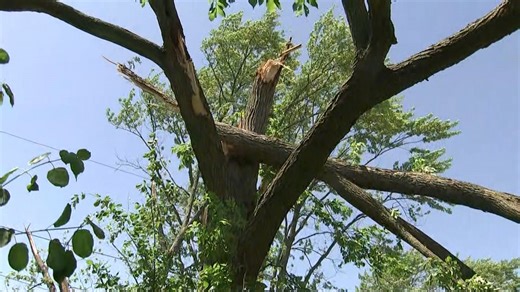 Brief Tornado Touched Down Near Schaumburg During Monday's Severe Storms: NWS