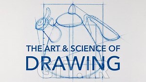 Measuring & Proportion / Drawing with Accuracy & Precision