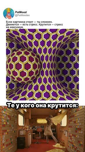 Иллюзия мозга🧠