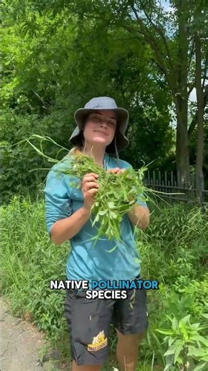 Con Edison Volunteers Protect NYC Pollinators at Ridgewood Reservoir