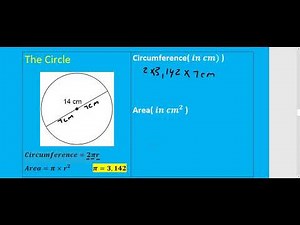 Grade 10-12 Mathematical literacy(P2):The Circle