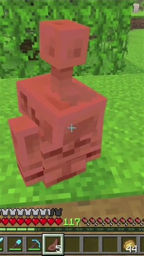Just a Helpful little Friend #minecraft #minecraftmountain #minecraftgameplay