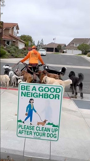 DOGEX: can’t believe people need instructions for this 🤦‍♀️ #dogs #dogowner #dogwalk #poop #doglove