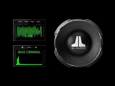 INSAE BASS TEST SUBWOOFER VIBRATION TEST