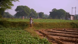 Pushkar, India, Rajasthan, Pur