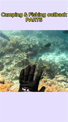 #b2bcastaways #fishing #camping #travel