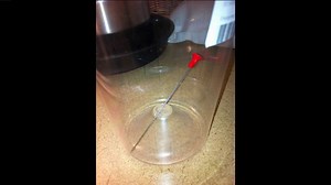 Teen Who Shot Women With Blow Darts Out Of Jail On Plea Deal