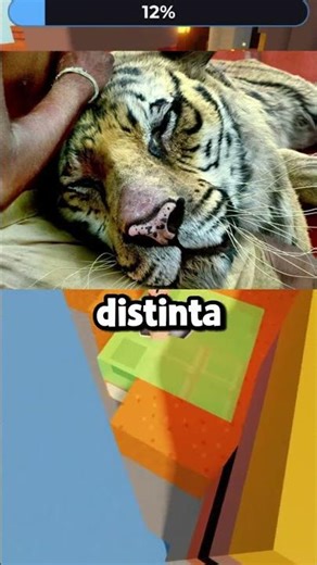 This is what great movies look like without special effects 😱🎬