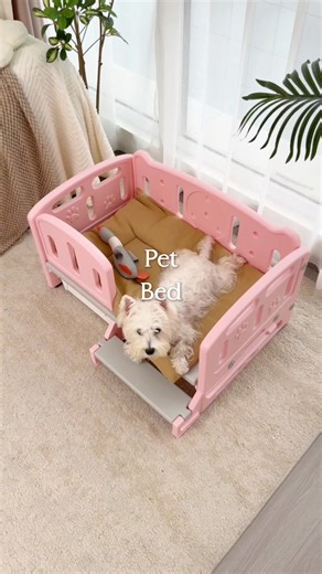 Temu Official on Instagram: "Sturdy raised pet bed with built-in bowls for small dogs. 🔍 Find it at https://temu.to/m/gb3dbp6baca or with this code vxj45577. #temu #petbed"
