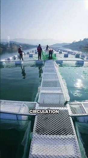 Brilliant Fish Farming Innovation on Water