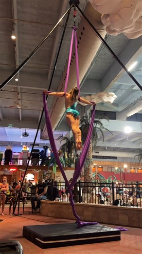 Aerialist | Katie Critzer | Dropping into the New Year 🥂. It’s been such an amazing year. Where do I even begin?! Struggles I had in 2026: - My puggle had a severe... | Instagram