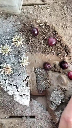 How do you Like it ? 1 - 10 #woow #schokotorte #love #thanks #heartcake #heart #sorry #quit #schokoglausur #cake #füllung #schoko