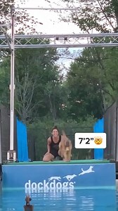 5.7K views · 98 reactions |  Fly high and set your goals even...