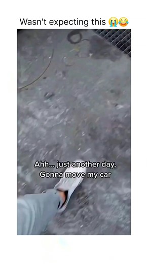 Memes😂 | Follow for more What if I told you there’s a spot on Earth where gravity is so strange it makes objects roll uphill? Fun fact: Places... | Instagram