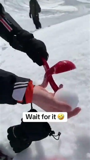 Did not see that coming 😅 (via @tristangeissler/IG)