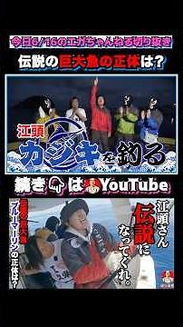 [Legend] Egashira and Fujii face off against Kumejima's legendary Blue Marlin! #EgaPower #EgaChannel