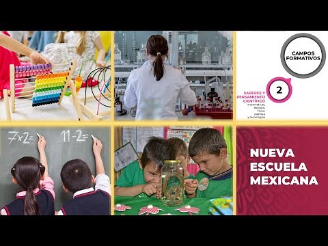 CAMPO FORMATIVO SABERES Y PENSAMIENTO CIENTÍFICO | FASES COMPLETAS | NEM 2022 #nuevaescuelamexicana
