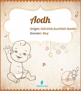 Aodh Name Meaning, Origin, History, And Popularity