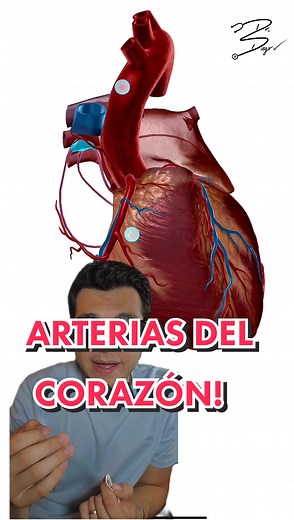 Irrigación del Corazón: Arterias en 3D