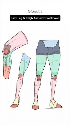 ​Easy Leg & Thigh Anatomy Tutorial 🦵✨ | Drawing for Beginners #shorts #clipstudioart