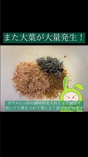 大葉が大豊作！大量消費レシピ #簡単レシピ #料理 #大葉#大量消費