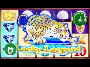 😄 Lucky Leopard slot machine, bonus