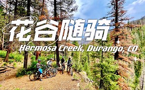 「山地随骑」繁花盛开的雨日河畔，野火烧过的焦木森林，带你一起感受Hermosa Creek Trail ——Durango, CO