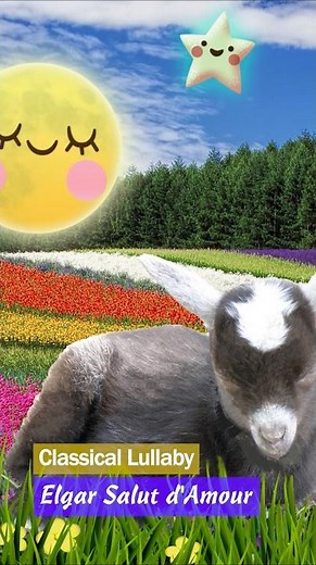 Elgar Salut d'Amour ❤ Super Gentle Soothing Bedtime Music for Babies and Kids #classicalmusic