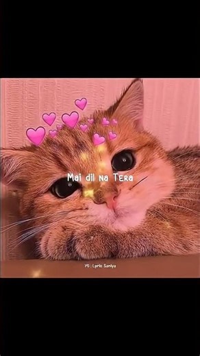 Cutie pie 😍 lyrics #like #lyrics
