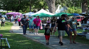 Craft Show/Flea Market