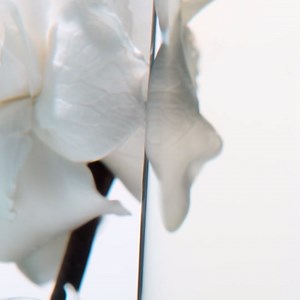 Issey Miyake L'Eau d'Issey Eau de Toilette - Fragrance for Women - Floral & Aquatic, Inspired by the Purity of Water - With Notes of White Flowers, Lotus Rose Accord & Precious Woods Accord