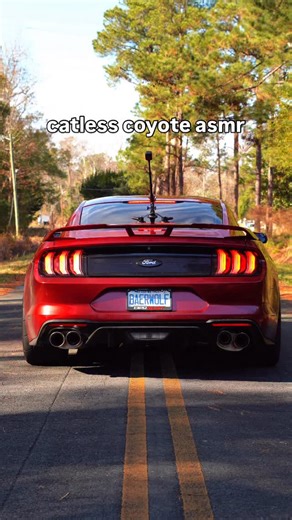 Nick Baerwolf | music to my ears @speedengineering headers and @wengerd_performance tuning💻🧪 - - __________________ Camera- Sony A7iii Lens- Tamron... | Instagram