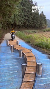 Los dibujos tridimensionales en la calle parecen tan reales que llegan a ser confusos. 😲 | SOLO TLACO