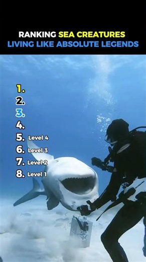 Ranking Best Funniest Marine Animals Moments #usa