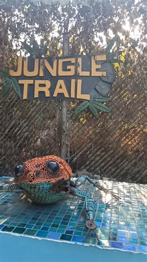 Jungle Trail 3rd phase 😊 #jungle #minivlog #shortsfeed