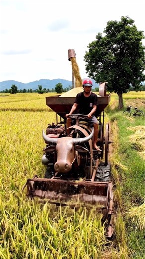 I Built A DIY Rice Harvesting Machine