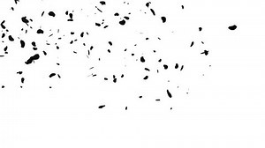 Falling Sakura Petals Cherry Blossoms Animation Stock Footage Video (100% Royalty-free) 3482015 | Shutterstock