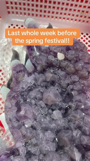 Join the Crystal Party for Spring Festival Celebrations