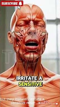 3D Allergy Breakdown Why You Keep Sneezing Non-Stop!