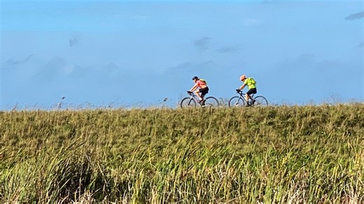 Into the wild on two wheels: Easy bike rides that pass gators, deer instead of cars, trucks