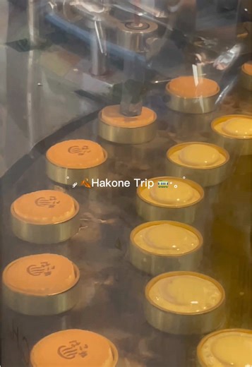 紅葉を見に箱根〜🚃🍂 室内温泉も最高でした♨️ #箱根 #箱根旅行 #箱根温泉 #箱根観光 #旅行vlog #fyp