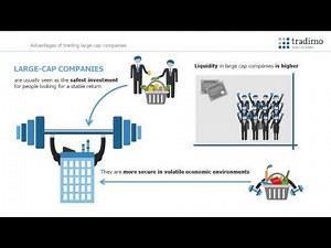 What is market capitalisation?