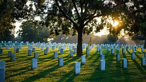 38K views · 1.5K reactions | As we spring forward into daylight saving time, we are honored to share the beauty of Arlington National Cemetery with our visitors and Family Pass Holders. Arlington National Cemetery is open from 8 a.m. to 5 p.m. every day. More information about visiting these hallowed grounds can be found at https://www.arlingtoncemetery.mil/Visit. | Arlington National Cemetery | Facebook